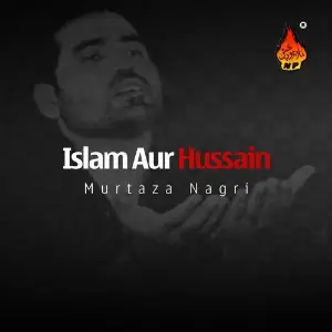 Islam Aur Hussain image