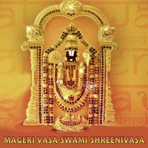 Mageri Vasa Swami Shreenivasa image