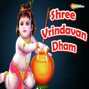 Shree Vrindavan Dham image