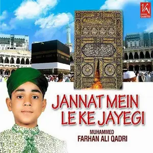 Jannat Mein Le Ke Jayegi image