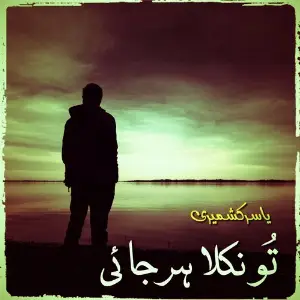 Tu Nikla Harjaye image