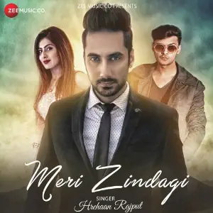 Meri Zindagi image