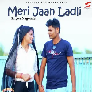 Meri Jaan Ladli image