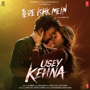 Usey Kehna (From Tere Ishk Mein) image