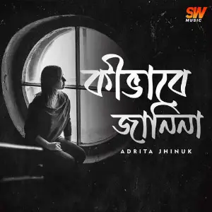 Ki bhabe Janina image