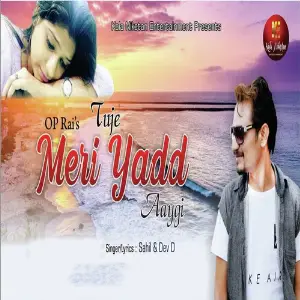 Tujhe Meri Yaad Ayegi image