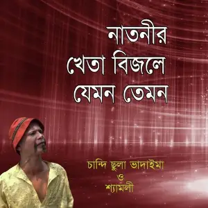 Natnir Kheta Bijle Jemon Temon image