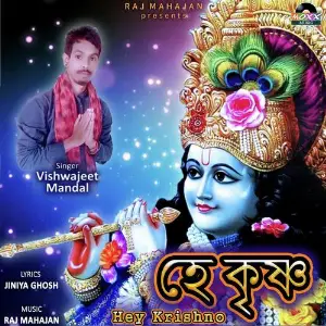 Hey Krishno image