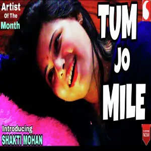 Tum Jo Mile image
