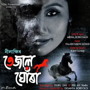 Tejal Ghura - Single image