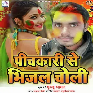 Pichkari Se Bhijal Choli image