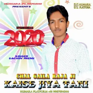 Chal Gaila Raja Ji Kaise Jiya Tani image