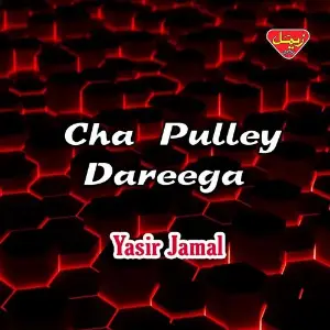 Cha Pulley Dareega image