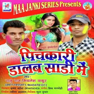 Pichkari Dalab Sadi Me image