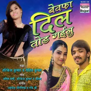 Bewafa Dil Tod Gailu image