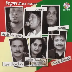 Bitrishna Jibone Amar image