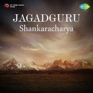 Jagadguru Shankaracharya Avinash Vyas