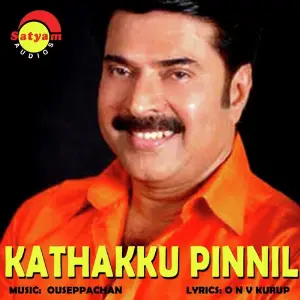 Kathakku Pinnil image