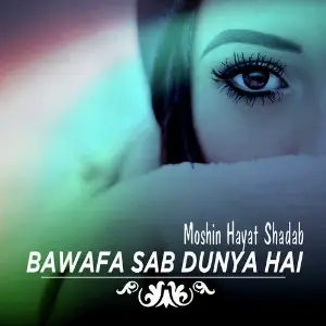 Bawafa Sab Dunya Hai - Single image