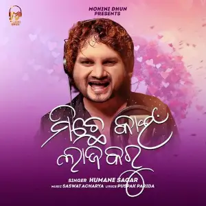 Michhe Kain Laja Karu image