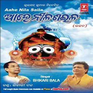 Aahe Nila Saila image