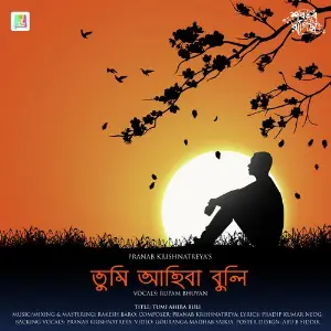 Tumi Ahiba Buli - Single image