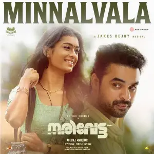 Minnalvala (From Narivetta) image