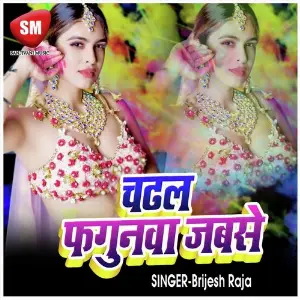 Chadhal Fagunwa Jab Se (Bhojpuri Song) image