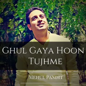 Ghul Gaya Hoon Tujhme image
