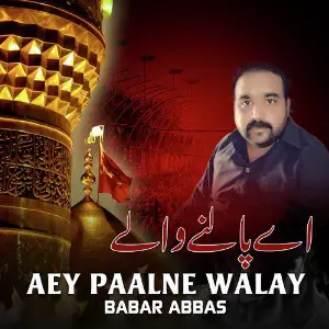 Aey Paalne Walay image