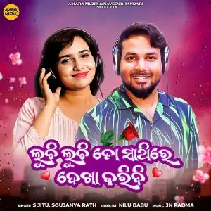 Luchi Luchi Tosathire Dekha Karibi image