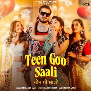 Teen Goo Saali image