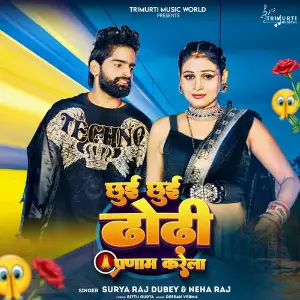 Chhui Chhui Dhodhi Prnam Karela image