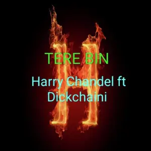 Tere Bin Harry Chandel, Dickchaini