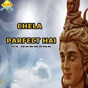 Chela Parfect Hai image