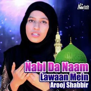 Nabi Da Naam Lawaan Mein image