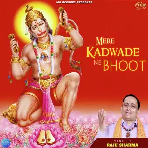 Mere Kadwade Ne Bhoot - Single image