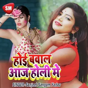 Hoi Bawal Aaj Holi Me (Bhojpuri Holi Song) image
