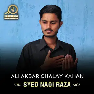 Ali Akbar Chalay Kahan image