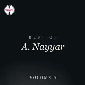 Best Of A. Nayyar, Vol. 5 image