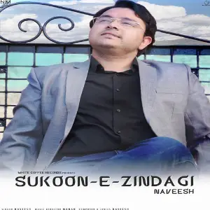 Sukoon E Zindagi image