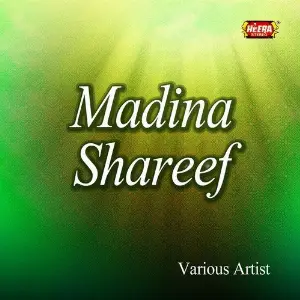 Madina Shareef image