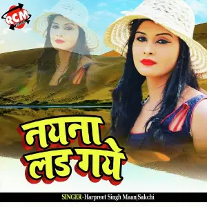 Naina Lar Gaye image