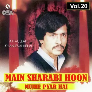 Main Sharabi Hoon Mujhe Pyar Hai, Vol. 20 image