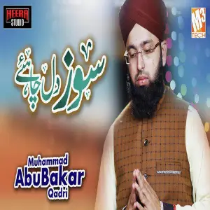 Soz E Dil Chahiye - Single image