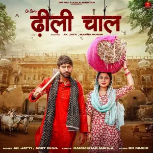 Dhilli Chaal (feat. Amit Dhul,Ak Jatti,Mannu Pahari) image