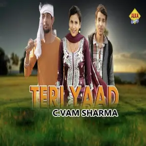 Teri Yaad image