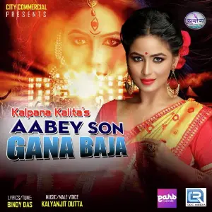 Aabey Son Gana Baja image