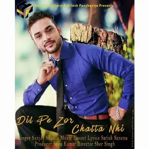 Dil Pe Zor Chalta Nhi image