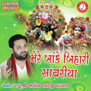 Mere Bake Bihari Savariya image